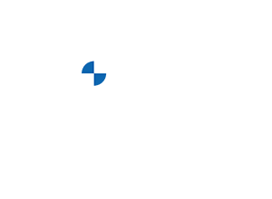 birindelli-logo