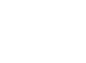 iris-logo