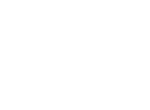 la-nazione-logo