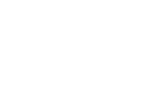 vangi-logo